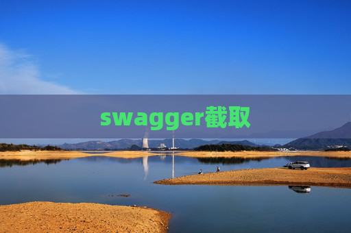 swagger截取